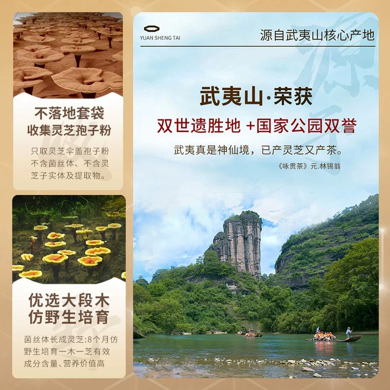 元生泰灵芝孢子油软胶囊60粒/盒保肝护肝中老年人营养滋补保健品