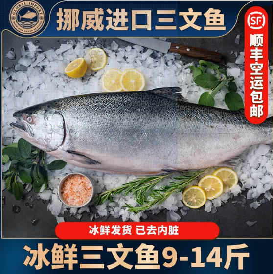 冰鲜三文鱼一整条刺身新鲜即食挪威进口深海大西洋鲑鱼13-14斤