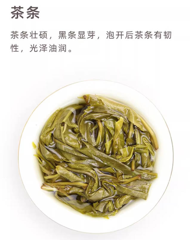 茶王地古树2023年春茶普洱茶生茶200克饼云南临沧铁戈制茶