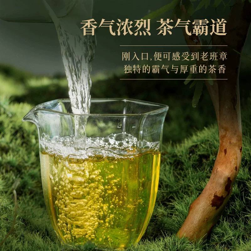 2023陈升号老班章普洱生茶357g普洱茶生茶饼茶叶茶饼云南勐海饼茶