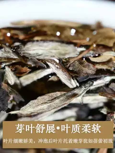 2025年陈年白牡丹茶叶白茶饼福建福鼎老白茶紧压茶饼