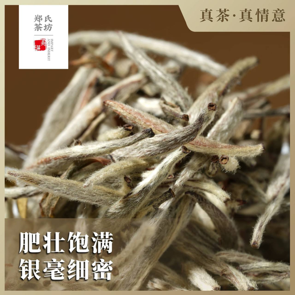 郑莲英福鼎白茶2012特级白毫银针老白茶老银针高货茶叶礼盒装40g